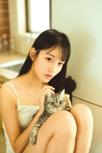 成全影视大全免费追剧大全	994