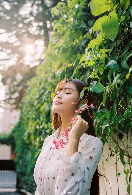 电视剧免费观看电视剧大全在线观